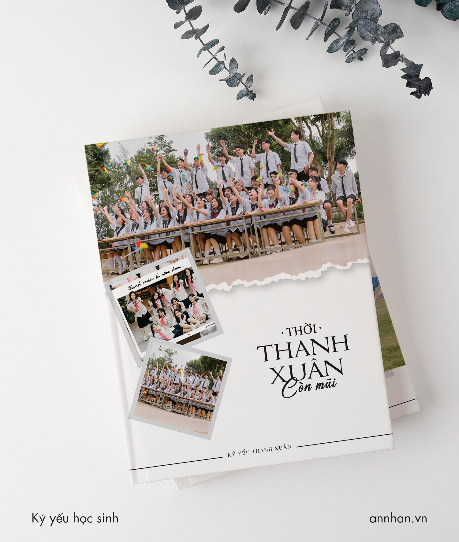 Brochure, Catalogue, Kỷ yếu